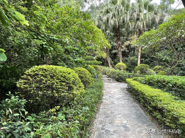 回顾诺基亚N95：当年高贵的机皇