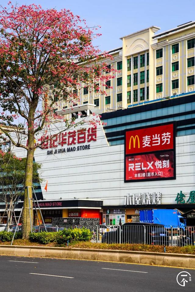 测评深圳“华为村”，还有年薪30万的华为人么？