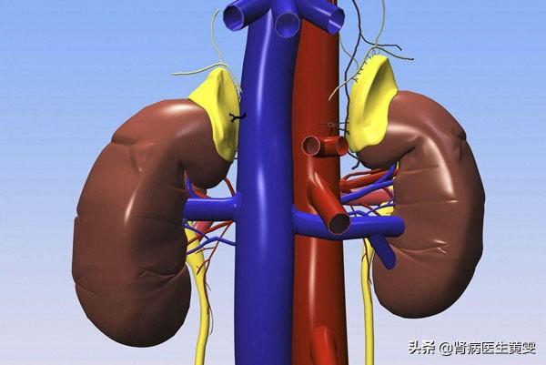小伙吃橙子为何会肾衰病危？慢性肾衰有啥治疗方法？饮食节制事项