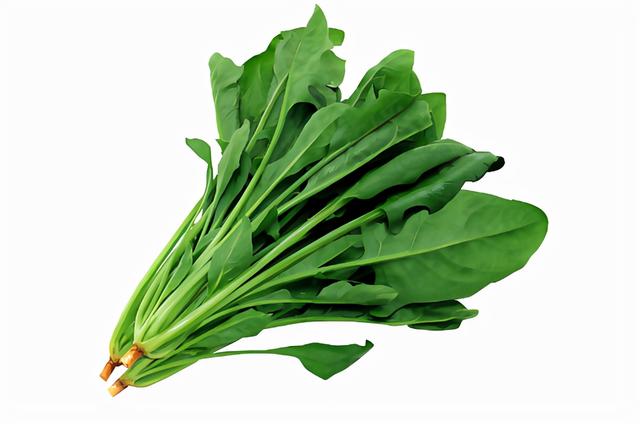 过了50岁，若想预防骨质疏松，这3种常见食物要舍得吃