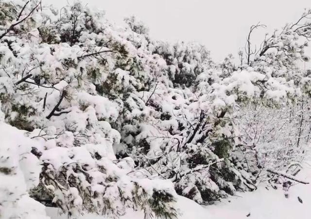 南方大范围35度以上！东北却下雪，拉尼娜重现率增大，要来冷冬？