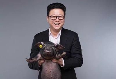 互联网大佬宣布养猪，一头猪被拍出27万元，丁磊为什么会选择养猪