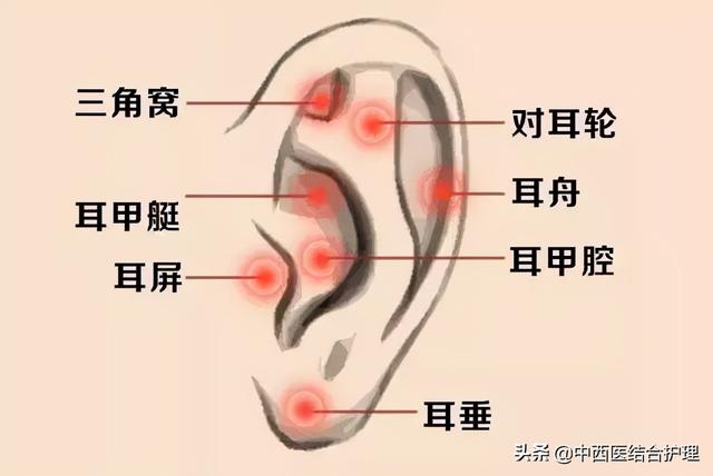 「穴位经络养生」穴位就是中药，经络就是药房！经常按摩穴位，太有用了！收藏吧