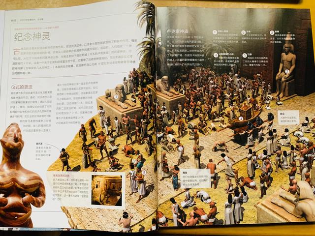 给7-14岁孩子的这本全景百科，让我惊艳