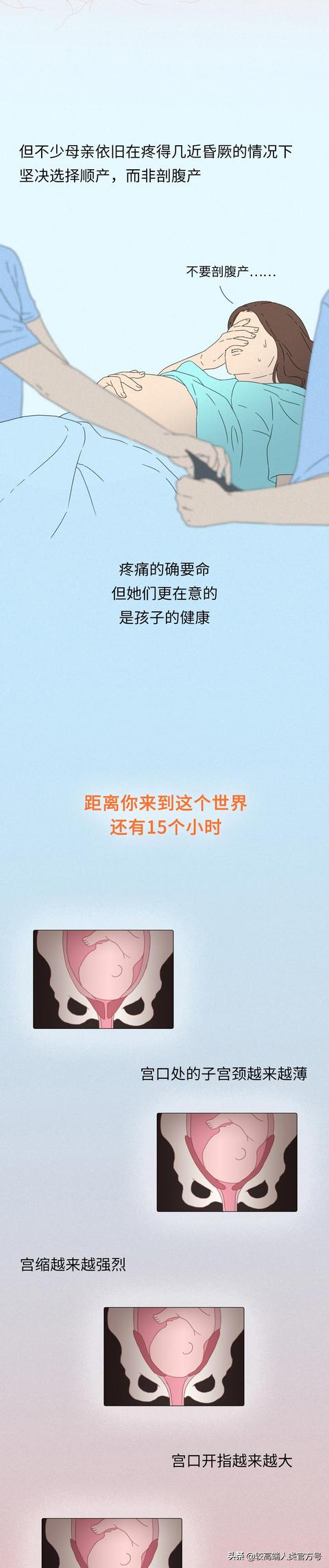 你出生前的24小时，都经历了什么？