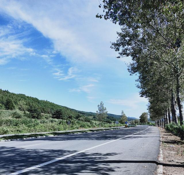 老年人与科学饮食
