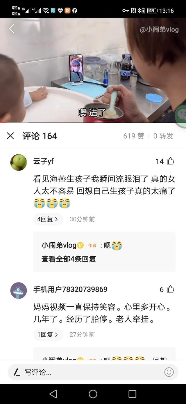 小海燕生宝宝了