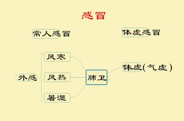 感冒了吃西药好还是吃中药好？感冒药吃对了吗？