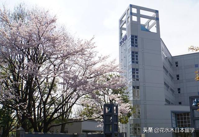 日本美术学院在世界排名 意大利美术学院排名 盛优教育网