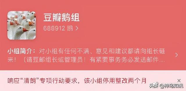 豆瓣多个娱乐小组不限期停用整改