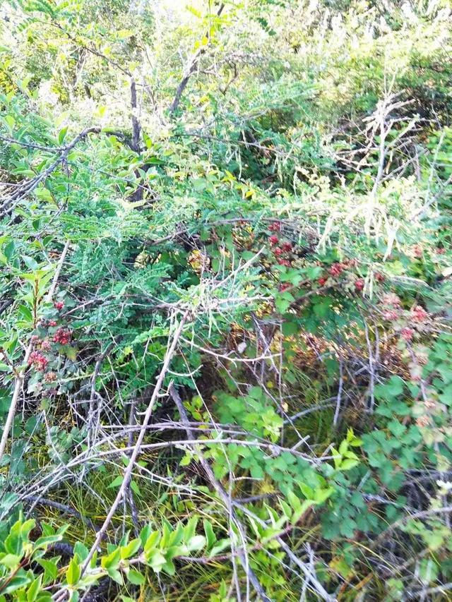 秋季养生：秋天话秋补