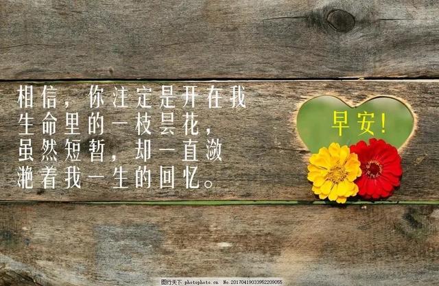生命的精彩在于：把握现在，微笑向暖，早安