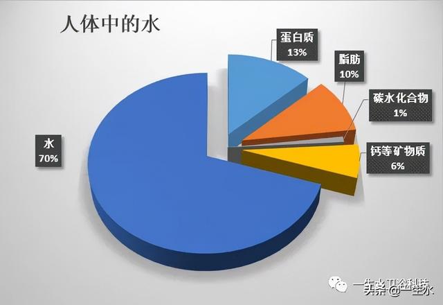 人为什么要喝水、水对人的重要性