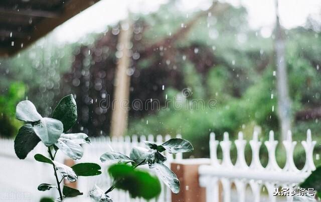 下雨天的朋友圈