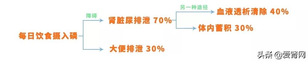 干货 | 肾友“控磷饮食大全”这样吃准没错