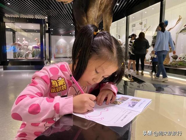 亲子打卡！科学探索，细菌好有趣啊，参观1000+件标本