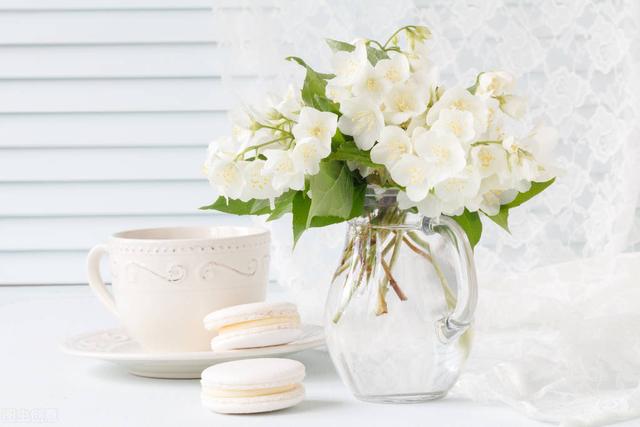 产后抑郁症比较适合送什么礼物？