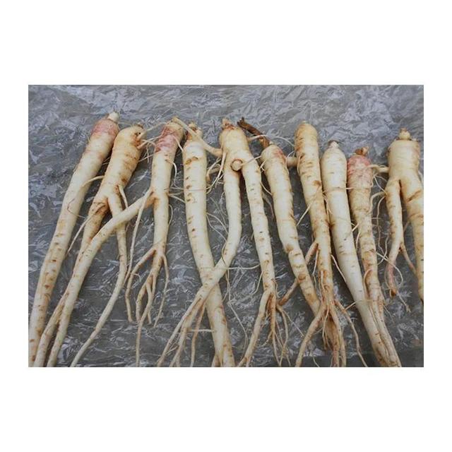 中药古今研究：桔梗