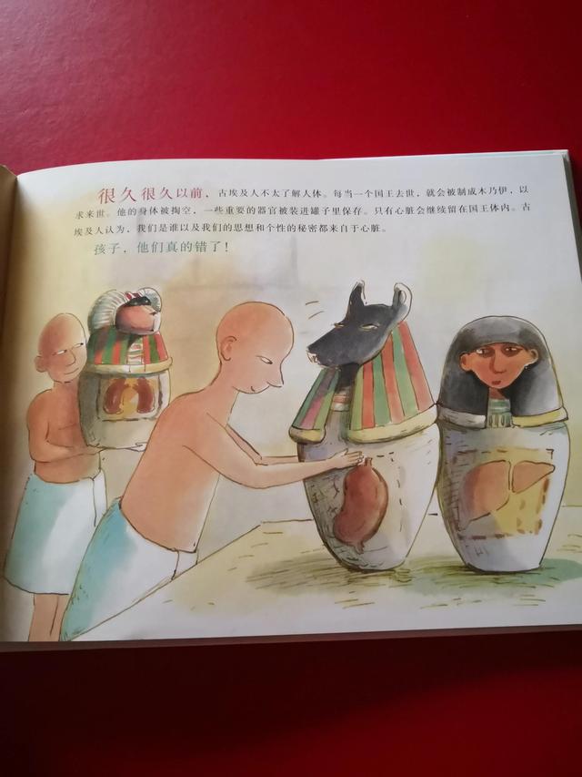 《孩子，我们对人体的认知真的错了》绘本