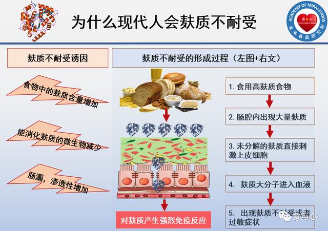 人体能消化麸质吗？怎样安全地吃面食？