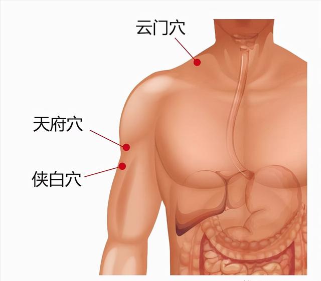 肺气不足怎么办？老中医提醒：2个穴位按一按，还你一个健康的肺