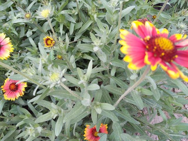 老年人生活有规律，对保障身体健康十分重要