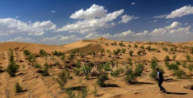 蚂蚁森林投入这么大却没有直接盈利，那马云到底怎么靠它赚钱？