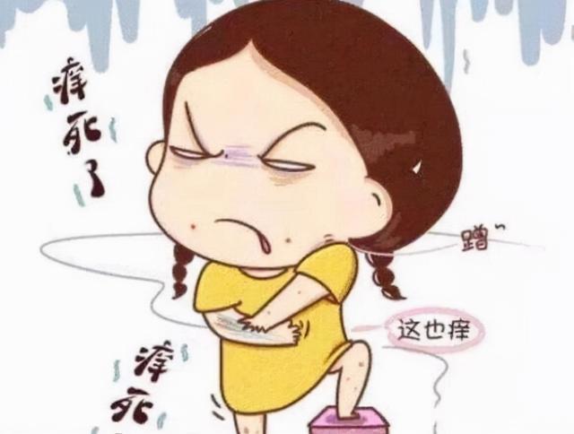 荨麻疹反反复复，一味路路通，祛风止痒，通经活血，助你消除风团