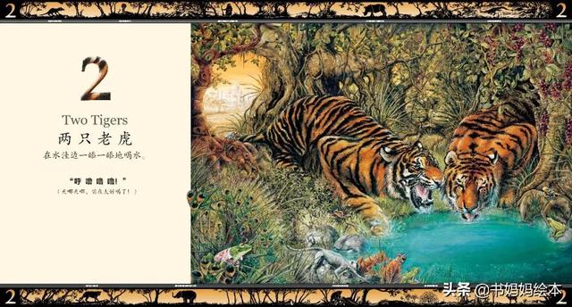 儿童全科启蒙绘本，启蒙全面思维能力，发展多维教育潜能