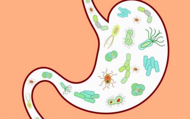 女人常吃无花果，好处或“不约而至”！但这3类人可别“凑热闹”