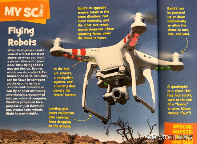 重视这一类阅读，孩子的阅读就有底气了