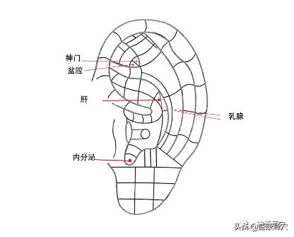 益康耳穴：耳穴疗法治疗疾病的原理是什么？