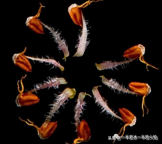 中秋：阴晴圆缺都休说，且喜人间好时节