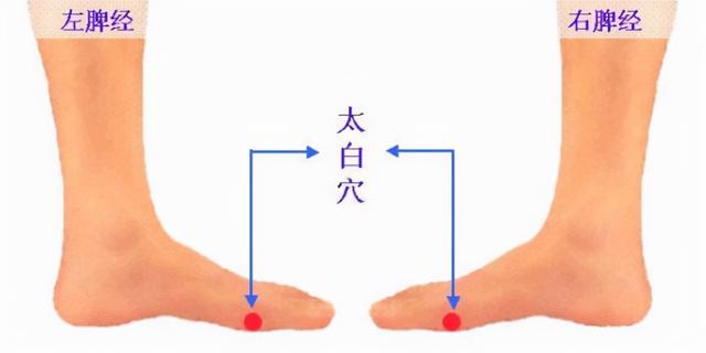 身体好不好，脾胃说了算！只需做好这8件事，脾胃健康长寿