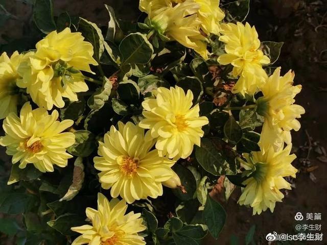 文章图片13