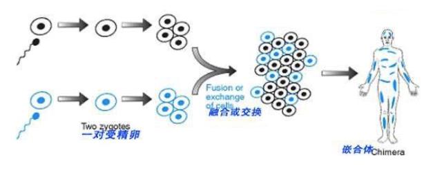 母亲做亲子鉴定 三个孩子竟都不是自己亲生 或引发刑侦等领域问题