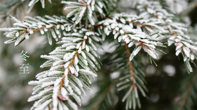 描写冬至的优美诗句古诗（十首经典的冬至诗词）