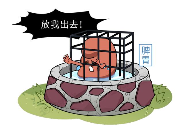 中医：体内湿滞重的人，通常有4个表现！健脾益气，排便通肠了