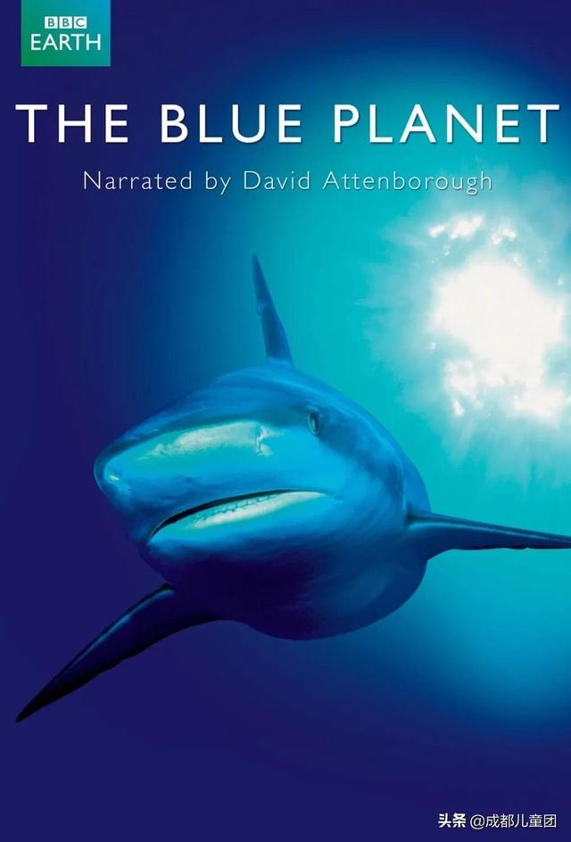 科普丨身处西南内陆城市，怎么给孩子讲海洋？
