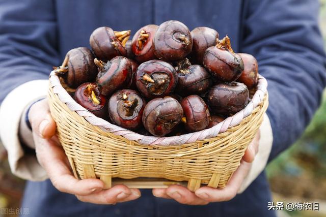 秋季越来越干燥，常吃“三果一蔬”，关键时候帮大忙，滋润一整秋