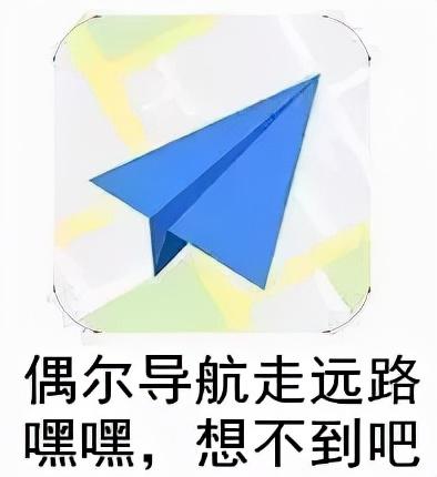 阿里新网红“飞高了”正式出道，三兄弟围猎美团