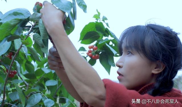 李子柒停更70天后亮相，头发凌乱妆很浓，她的悲惨遭遇不是个例