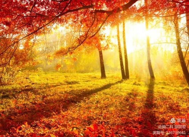 白露到！气候燥！要养身！应趁早