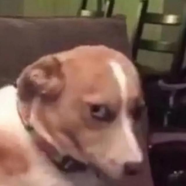 体验了上百款手机应用后，十年安卓用户推荐这些，太实用了