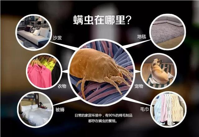2500万螨虫正在和孩子同床共枕？