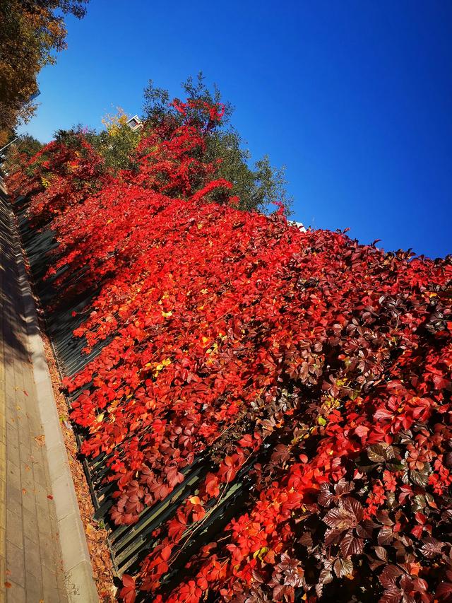养生先养心 很多人未必知道如何养心