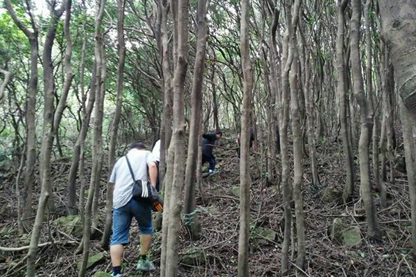 55岁后进入养寿“关键期”，如何养生？牢记“3忌、2勤、1戒”