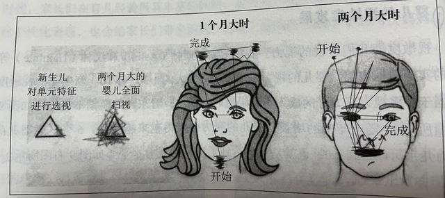 两岁半的孩子还认生？与婴儿认生期有关，怎样帮孩子度过认生期