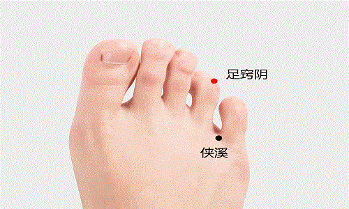 十二井穴总结篇