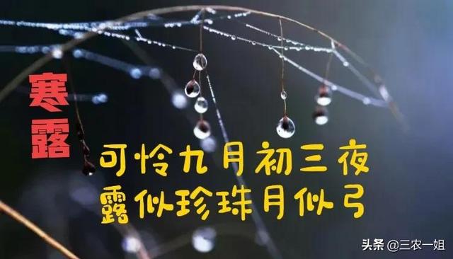 天气预报：初三初四月不明，一个月只有9天晴！今年9月无好天吗？